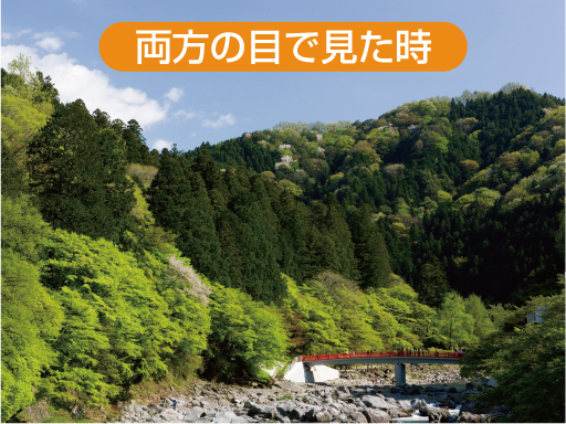 緑内障初期の見え方